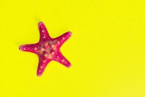 estrella de mar roja sobre fondo amarillo claro con espacio de copia. concepto de vacaciones y vacaciones de verano foto
