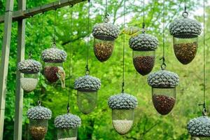 planty of hanging bird feeders in shape of acorn  full of different grain against forest background photo