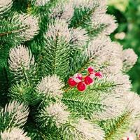 Christmas and New Year holidays background. Christmas tree decorated false snow and garlands. Glittering and sparkling. Celebration concept photo