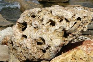 Texture of rocks and stones in a city park in Israel. photo