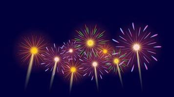 fireworks set on dark background vector