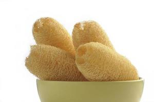 loofah sponges on white background photo