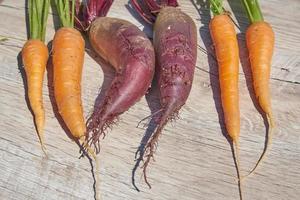 Freshly harvested homegrown organic beetroot, onion and carrot on wooden table. top view, copy space. photo