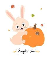 Autumn card with Cute rabbit with pumpkin, spider and autumn leaves. Vector illustration with funny bunny character. Autumn poster - Pumpkin time. For design, print, postcards, flyers and print