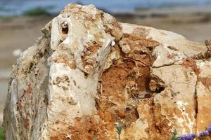 Texture of rocks and stones in a city park in Israel. photo
