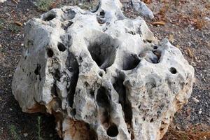 Texture of rocks and stones in a city park in Israel. photo