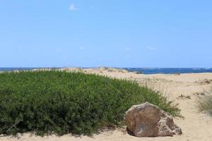 Nahariya Israel June 5, 2019. Stones and shells on the shores of the Mediterranean Sea. photo