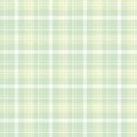 Seamless pattern in interesting pastel green and white colors for plaid, fabric, textile, clothes, tablecloth and other things. Vector image.