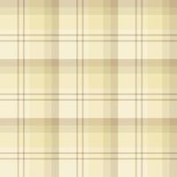 patrón impecable en suaves colores beige para tela escocesa, tela, textil, ropa, mantel y otras cosas. imagen vectorial vector