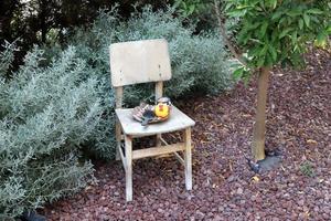 Chair for relaxing in a cafe on the Mediterranean coast photo