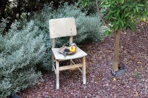 silla para relajarse en un café en la costa mediterránea foto