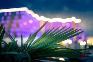 Natural background with green palm leaves against the sky photo