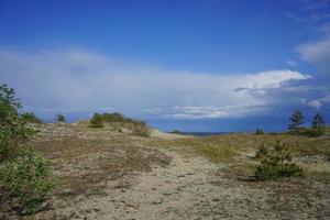 Sea landscape of the Baltic sea with coastal sand dunes of the Curonian spit. photo