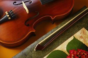 violin and bow photo