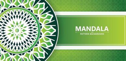 Green decorative mandala background vector