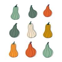 lindo juego de calabazas. elegante ilustración vectorial de plantas de otoño. símbolos de caída impresión para pancartas, tela, ropa, invitación al festival de la cosecha. vector