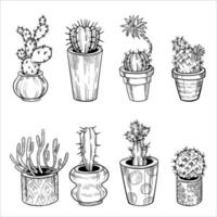 Set of cactus in flowerpots. Outline hand drawn sketch isolated on white vector