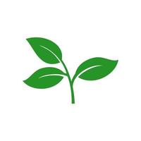 green leaf icon vector