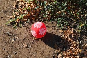 Balloons in a city park on the seashore. photo