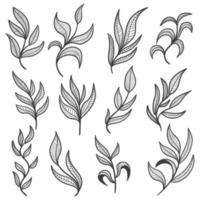 Floral leaf hand drawn elements set vector illustration