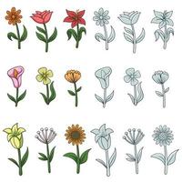 Flower nature elements decoration vector illustration