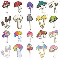 Mushroom set collection vector illustration