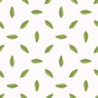 Vector seamless pattern with mint leaves.