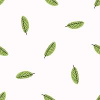 Vector seamless pattern with mint leaves.