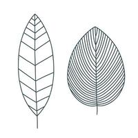 Set of decorative leaves. Dark lines vector design elements.