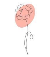 Outline poppy flower. Linear hand drawn minimalist drawing, continuous line. Vector illustration. Plant flower with bud and poppy head.