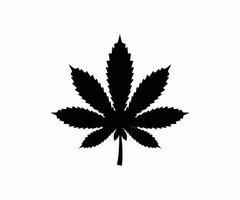 Marijuana or cannabis leaf icon logo template Vector