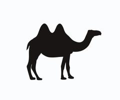 Camel Icon Silhouette Stock Vector. Dromedary Bactrian Camel Icon, Dromedary, Arabian Camel, Bactrian Camel, Black, And White. vector