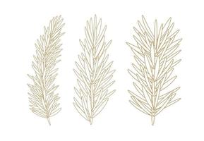 Golden Simple Line Fir Vector Illustration