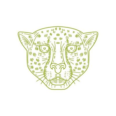 Cheetah Head Mono Line