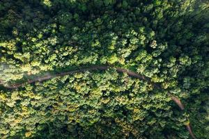 Aerial view road through green forest photo