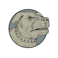 Rottweiler Guard Dog Head Angry Drawing vector