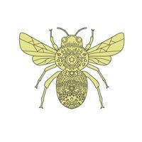 Bumble Bee Mandala vector
