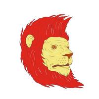 Lion Head With Flowing Mane Drawing vector