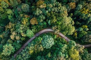 Aerial view road through green forest photo