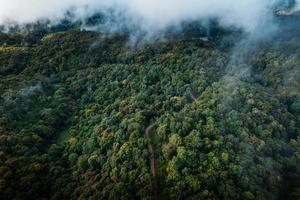 Aerial view road through green forest photo