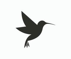 Hummingbird logo design icon vector template.