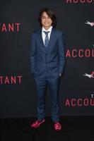 LOS ANGELES, OCT 10 - Rio Mangini at the The Accountant World Premiere at TCL Chinese Theater IMAX on October 10, 2016 in Los Angeles, CA photo