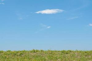 Sky And Grass Background photo