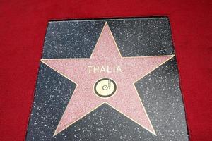 LOS ANGELES, DEC 5 - Thalia Star on the WOF at the Thalia Hollywood Walk of Fame Star Ceremony at W Hollywood Hotel on December 5, 2013 in Los Angeles, CA photo