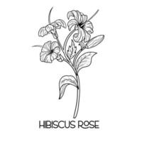 hand drawn Hibiscus flower illustration Vector outline. poppy, daffodils, tulip, sunflower, daisy. Hawaiian Hibiscus Fragrance Flower or Mallow Chenese Rose.