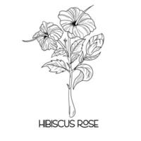 hand drawn Hibiscus flower illustration Vector outline. poppy, daffodils, tulip, sunflower, daisy. Hawaiian Hibiscus Fragrance Flower or Mallow Chenese Rose.