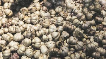 Garlic bulbs top view background. Selective focus. photo