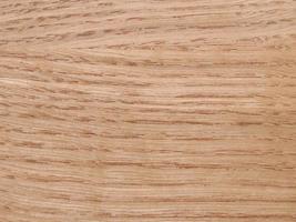Tree structure background photo