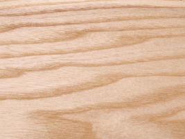 Tree structure background photo