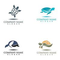 Turtle animal logo image design template vector